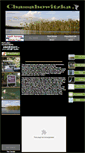 Mobile Screenshot of chassahowitzka.net